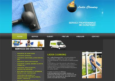 IWS launches a new website, www.curatenie-shine.ro, within the project www.websiteuri.ro