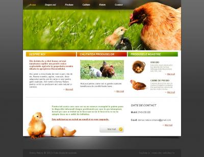 IWS launches a new website, www.domusnatura.ro, within the project www.websiteuri.ro